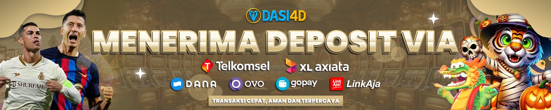 DASI4D